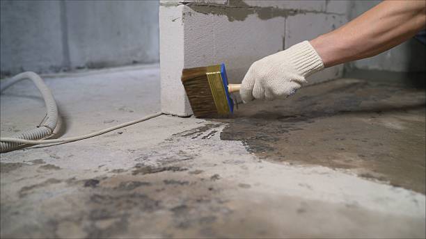 24/7 Emergency Exterior Waterproofing experts in Saint Charles, IL